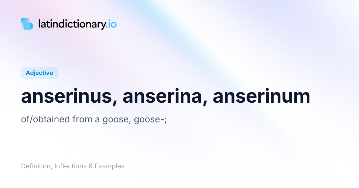 Anserinus: Latin Declension & Meaning