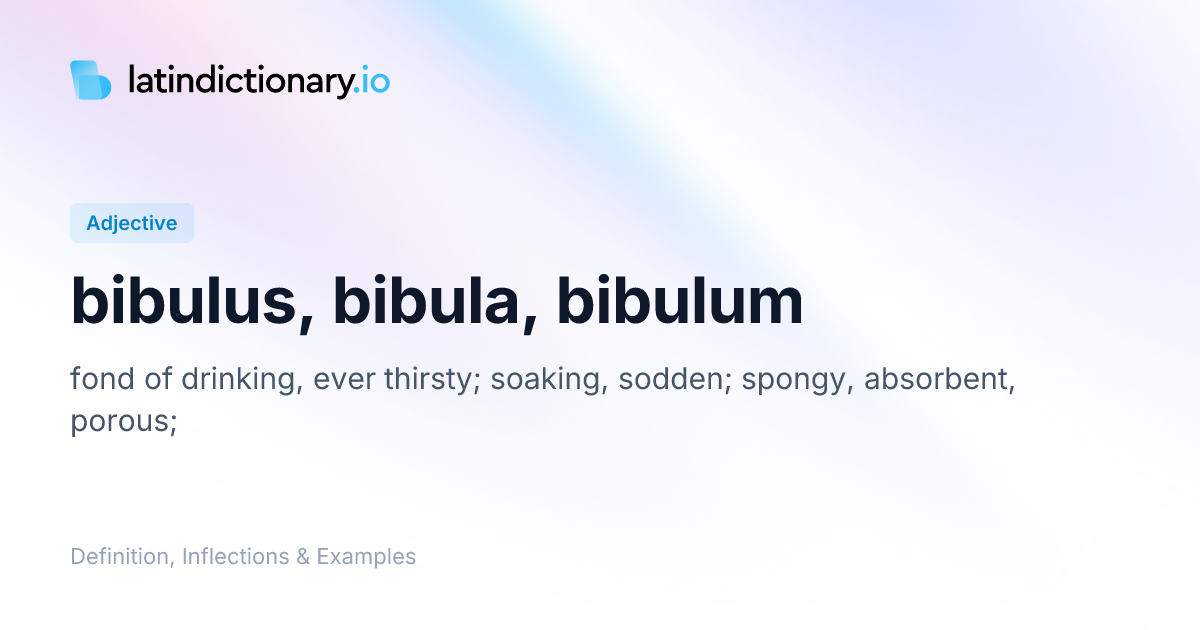 Bibulus: Latin Declension & Meaning | latindictionary.io