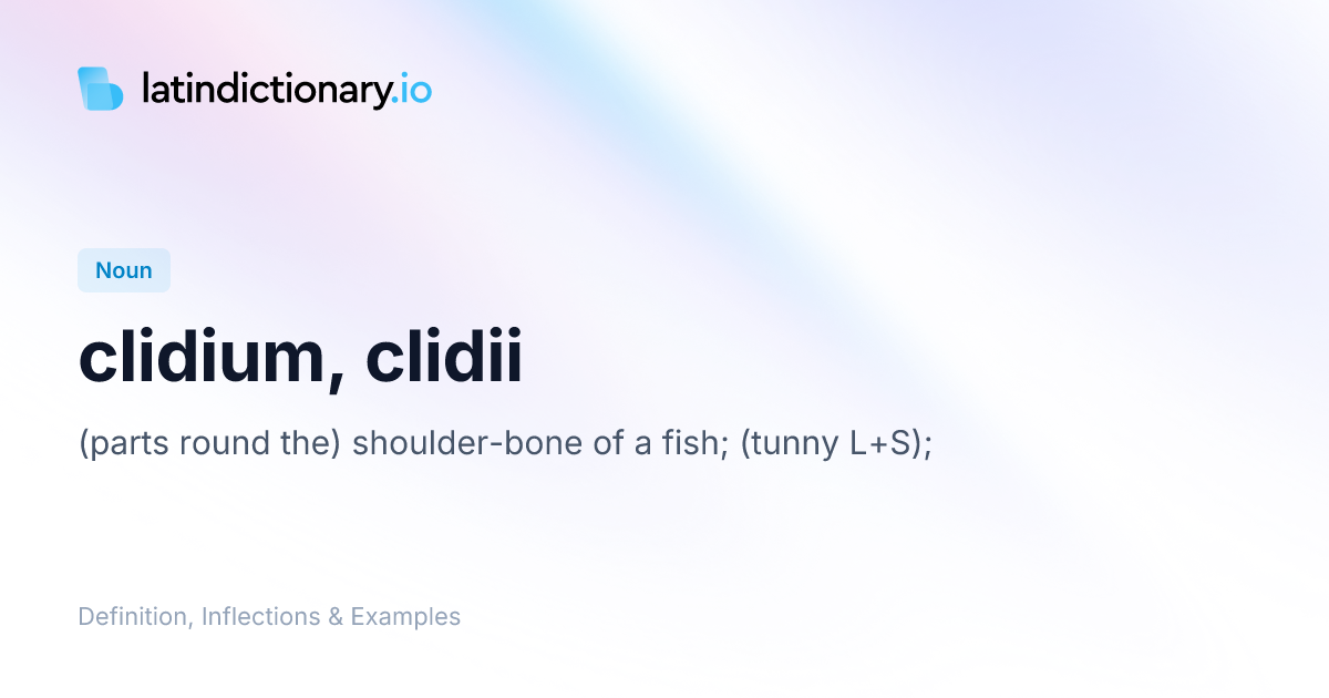 Clidium: Latin Declension & Meaning | latindictionary.io