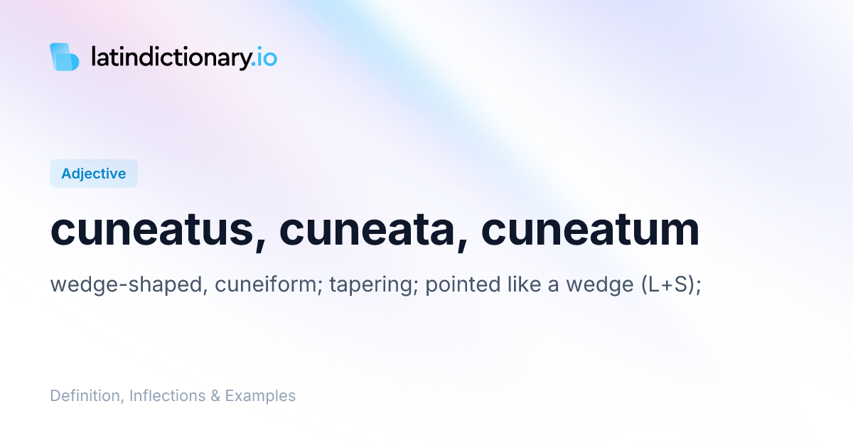 Cuneatus: Latin Declension & Meaning