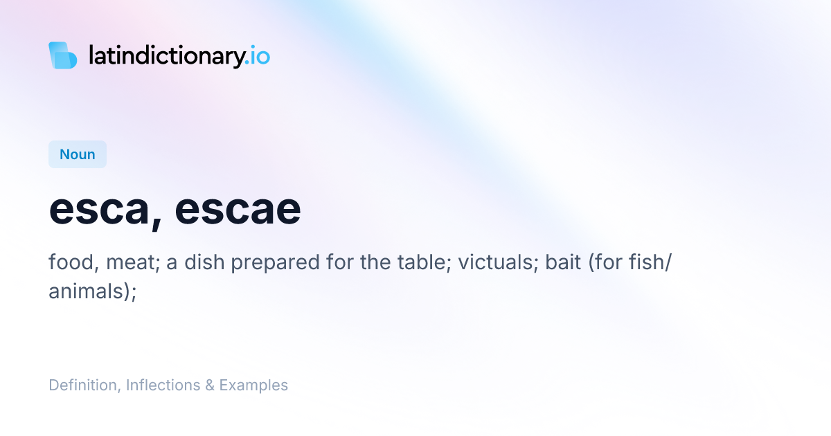 Esca: Latin Declension & Meaning | latindictionary.io