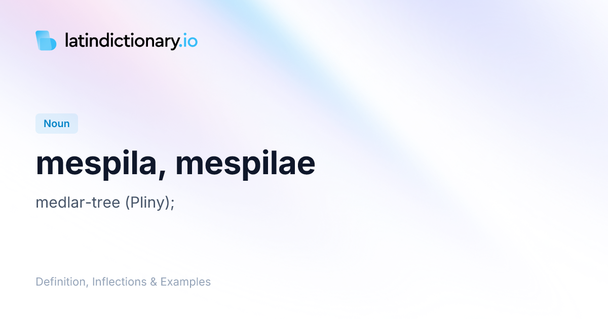 Mespila: Latin Declension & Meaning | latindictionary.io