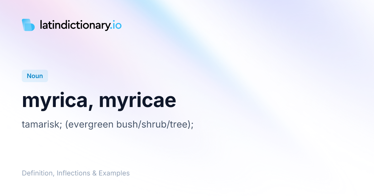 Myrica: Latin Declension & Meaning | latindictionary.io