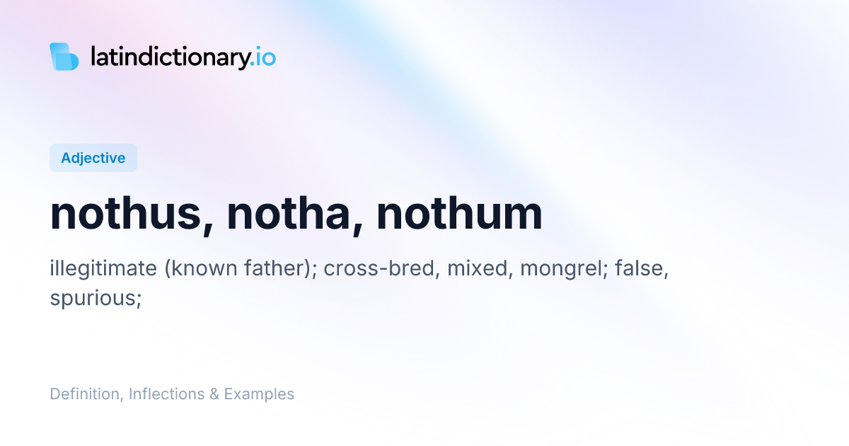 Nothus: Latin Declension & Meaning