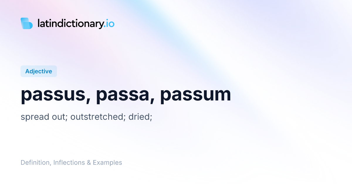 Passus: Latin Declension & Meaning | latindictionary.io