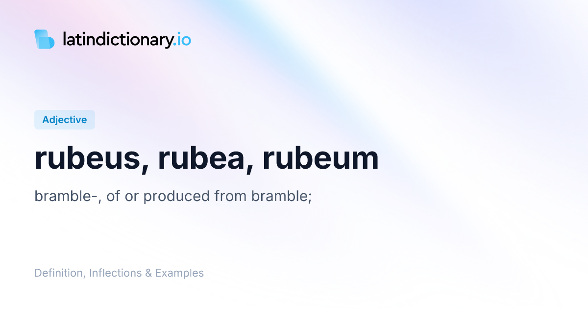 Rubeus: Latin Declension & Meaning | latindictionary.io