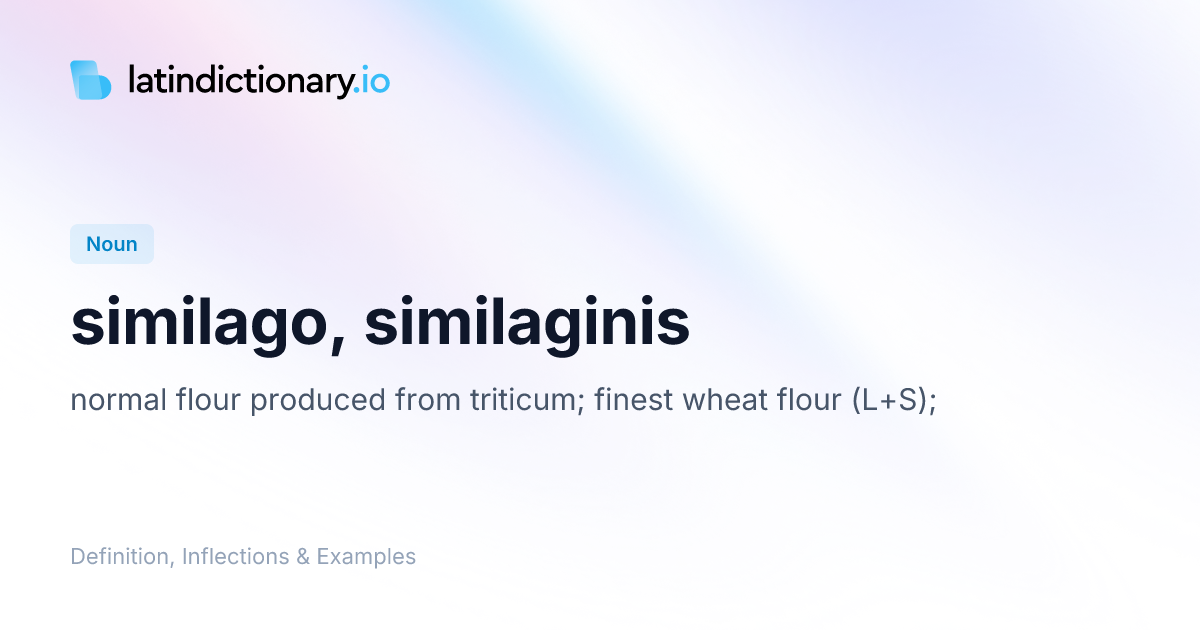 Similago: Latin Declension & Meaning | latindictionary.io