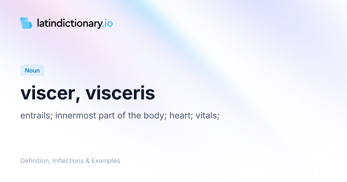 Viscer: Latin Declension & Meaning